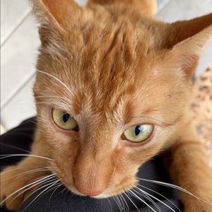 Meet your Posher, William